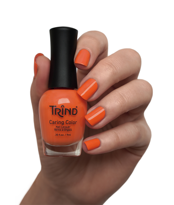 CC339_Clownfish Coral swatch - high res